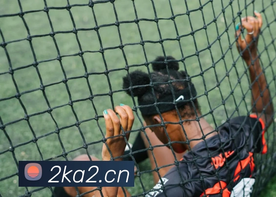 多媒体互动体验